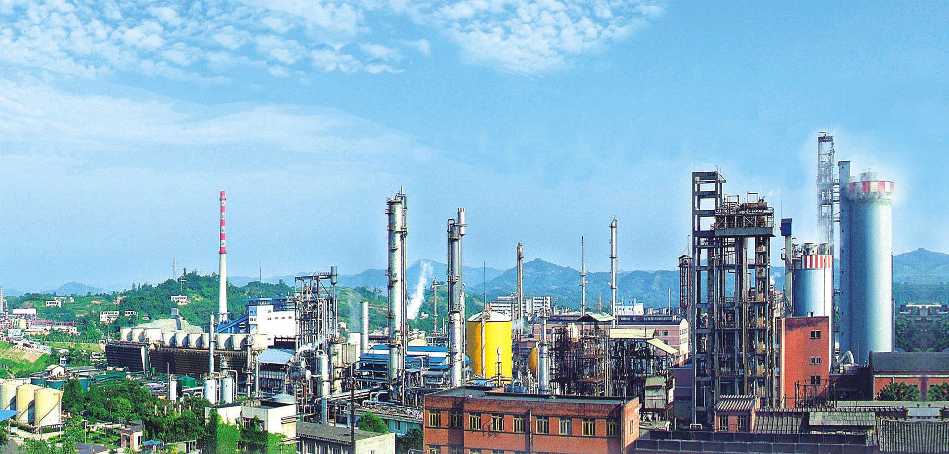 國肥行動 | 專訪瀘天化九禾馮學寧 緊跟時代步伐，勇立創新潮頭