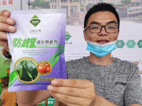 湖北宜都菌種廠 墻外花開香四方，農業種養與肥料生產的新引擎