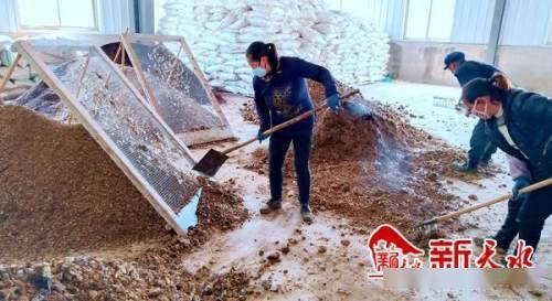 沃土富民路，生態高橋村 發展有機肥料產業，書寫鄉村振興新篇章